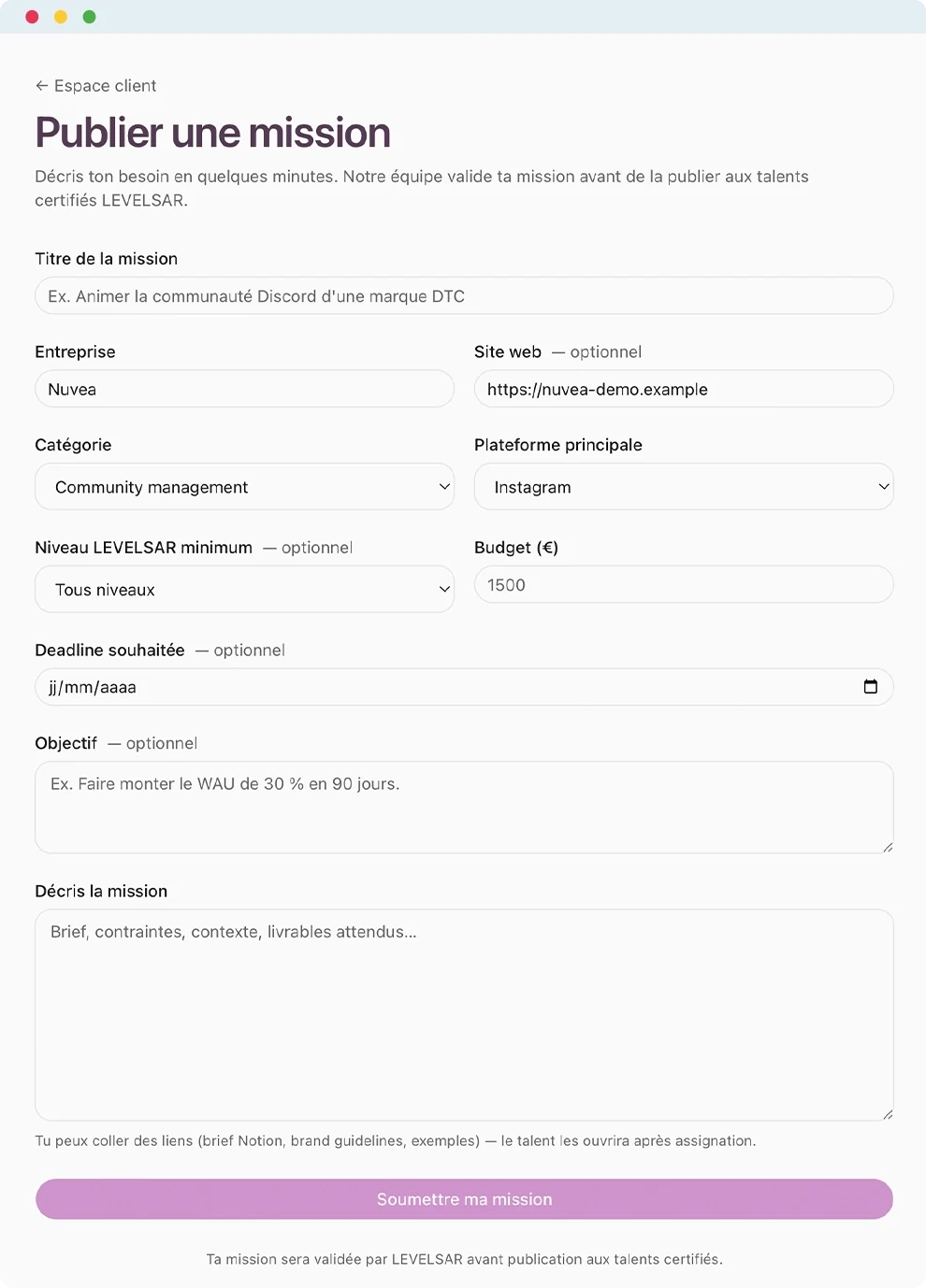 Flux de soumission d'un brief LEVELSAR — étapes du formulaire et confirmation.